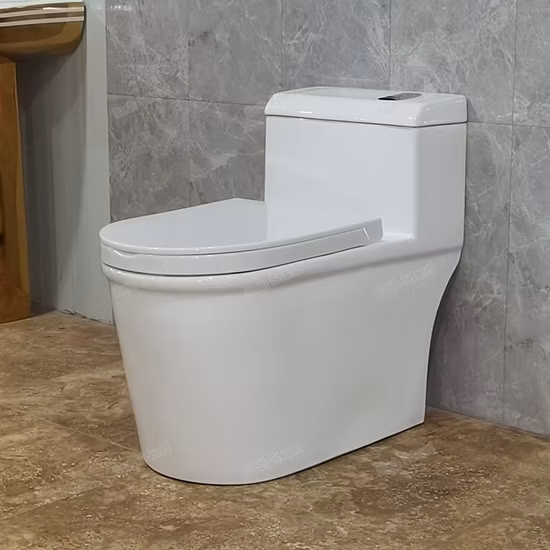 Inodoro sifónico de dos piezas de cerámica sin reborde, inodoro con descarga de hotel familiar de forma redonda